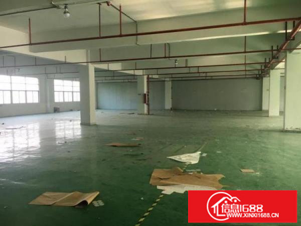 横岗安良新出原房东独院一楼整层1200平招租高5米