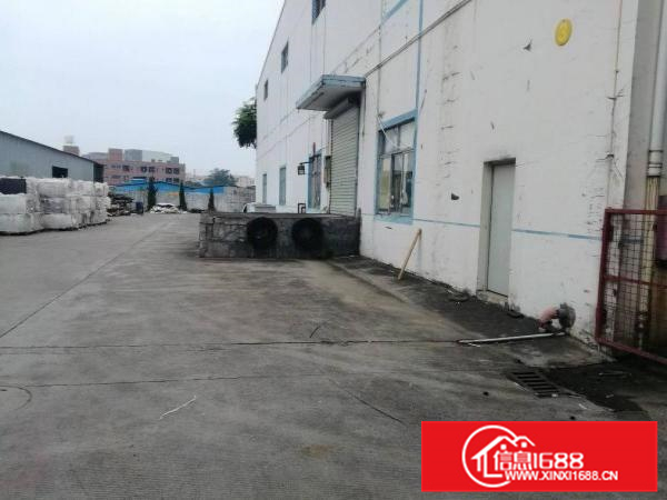 惠阳秋长沙田13米滴水原房东无公摊钢构厂房3000平