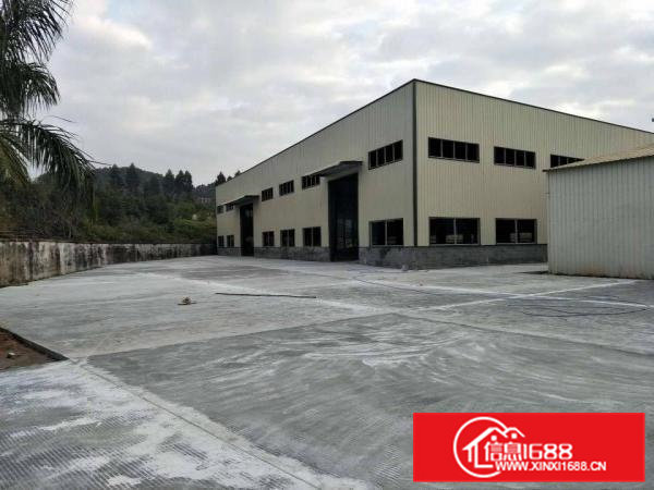 桥头镇独院全新单一层8米高9700平方出租