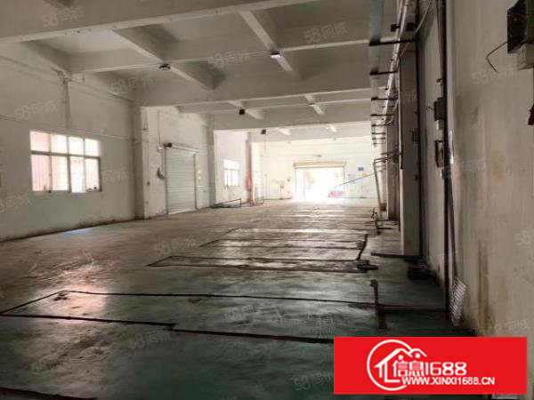 观澜福民原房东一楼厂房450高度5.5米证件齐全面积实在