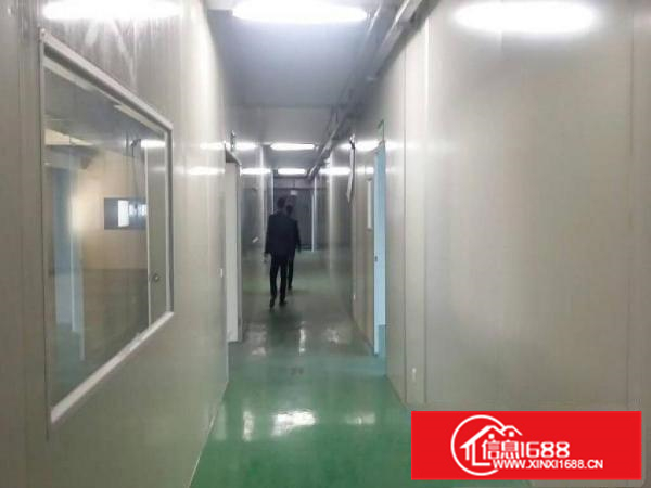 镇隆新出花园式红本独院一楼厂房3300平米出租