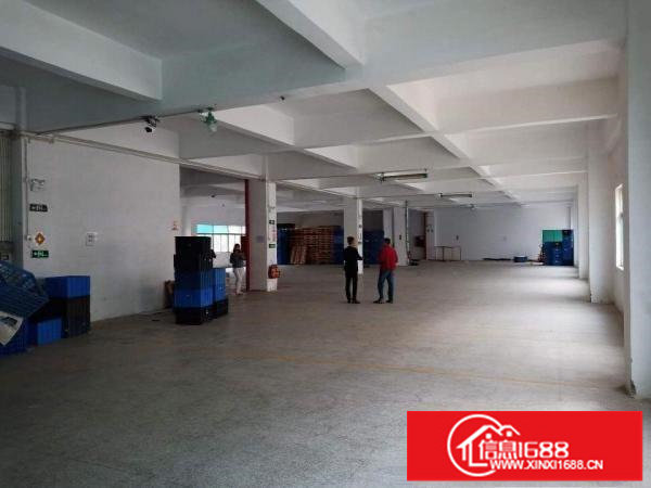 出租！坪山碧岭宇恒工业园原房东二楼1100平，带简装可分租