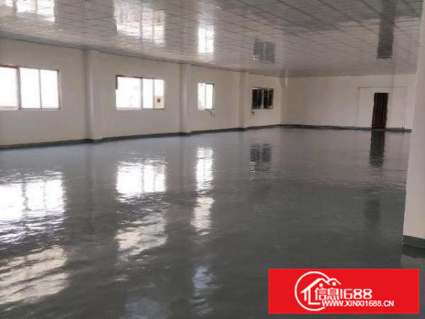 虎门新湾二楼厂房3000平方招租，租10