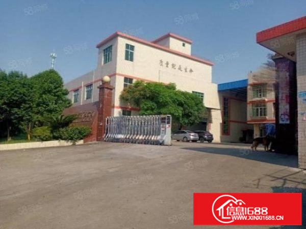 兴业西路主道干4800平，带牛腿