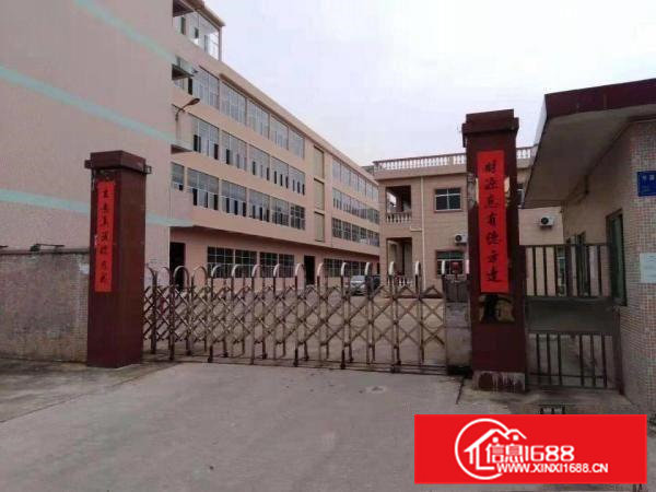 桥头镇全新4层独立花园式厂房