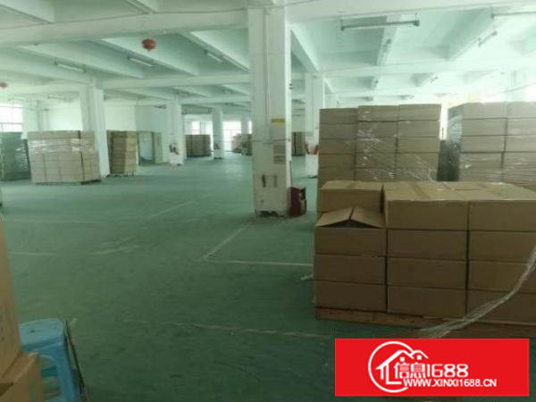 平湖新木村新出原房东厂房4800平可大小分租