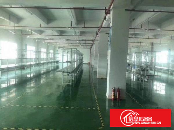 石岩龙眼山招租一楼厂房800平，有红本，电按需配