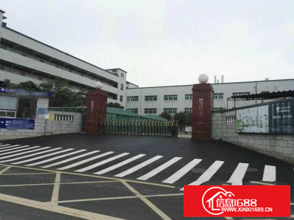 坪山石井带红本厂房2楼600平带装修出租