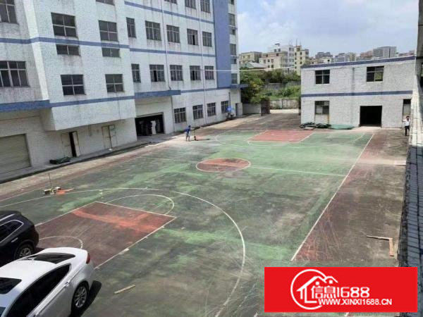 坪山区坑梓新出独院厂房4层7500平出租分租