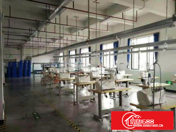 博罗福田楼上整层1800平方带精装修可分租