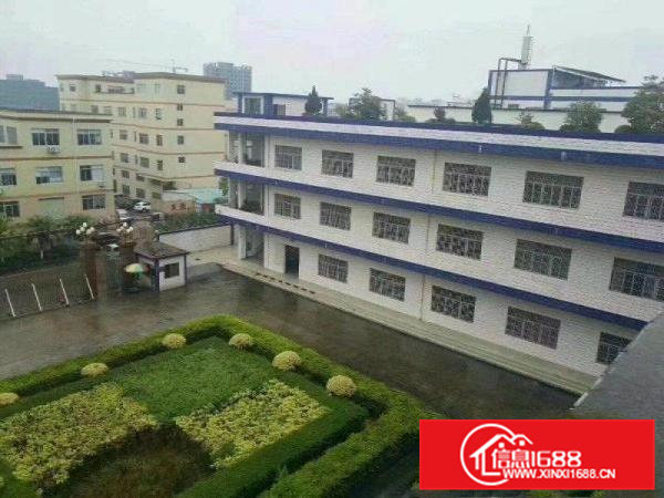 清溪镇近凤岗大型花园式独院厂房出租5万平方