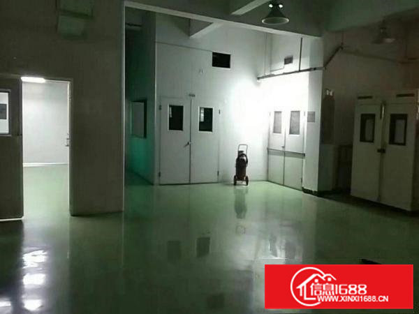 凤岗金凤凰2楼厂房4800平，带豪华装修拎包入驻