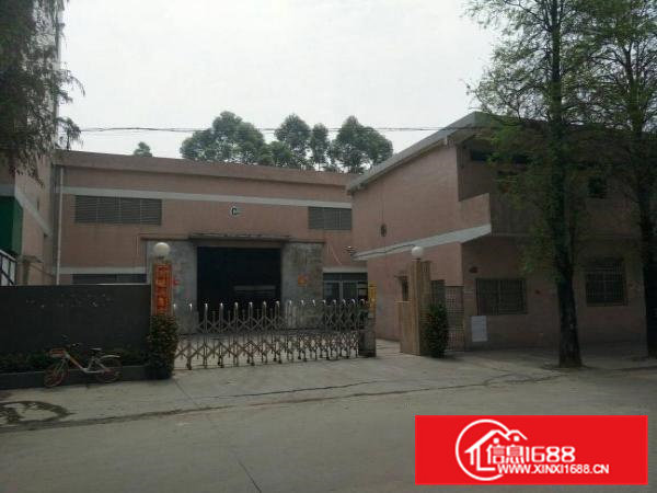 高埗单一层钢构厂房出租8米高仅租16元