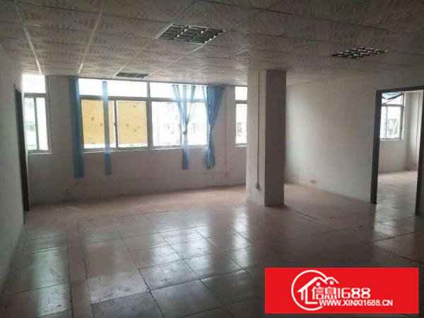 龙华油富商城附近新出300平厂房可分租