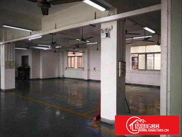 企石镇清湖村一楼标准厂房出租500平，高6米