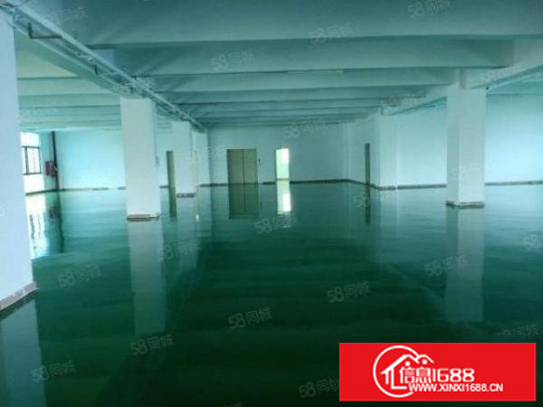 AA福永新装修2500平一手房东厂房出租，实用率80大园区