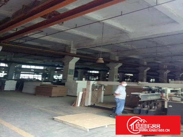 东莞市凤岗镇天堂围工业区新空独院三层15000平米