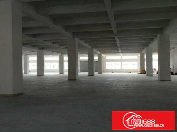 （单一层标准厂房）600平方在常平袁山贝招租高5米