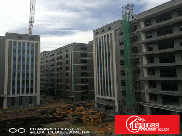 沥林标准红本厂房10万平米出租（红本证件可办环评可分租）