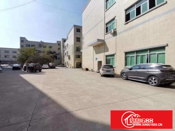 原房东厂房清溪新出一楼7米高980平方无公摊厂房出租