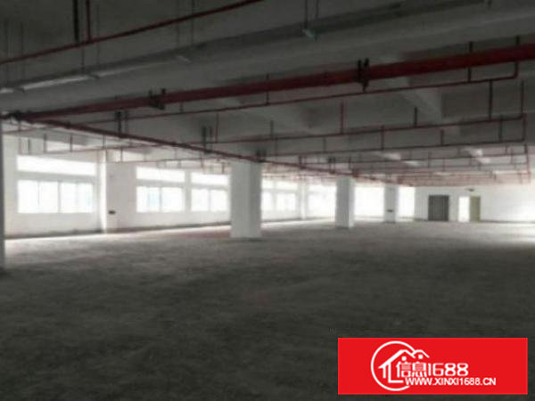 高埗独门独院1-3层7500平米，可分层租，易招工