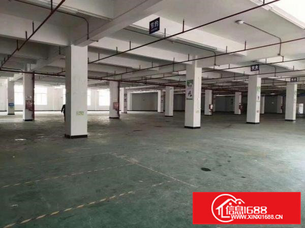 凤岗镇靓盘出租3900平米有现成装修