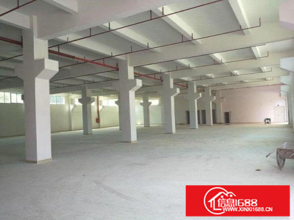 2000平方米起租)凤岗雁田天堂围全新厂房出租