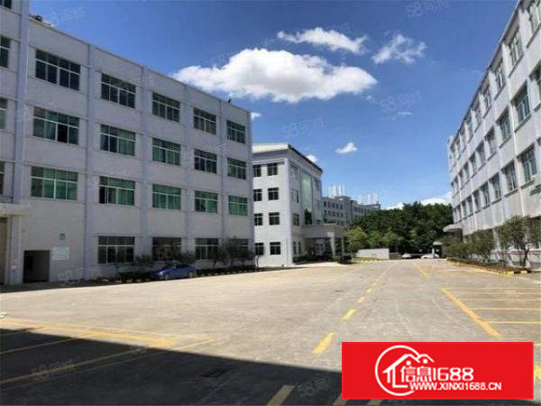 大朗原房东工业厂房3楼3000方500起租，价格13，帮隔墙