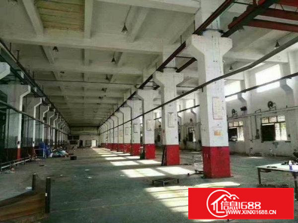 常平靠黄江新出标准厂房分租8米高一楼1100平米