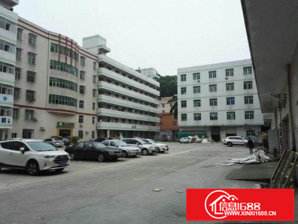 坪山碧岭金碧路430号原房东厂房4楼450平米出租450