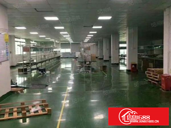 大浪上横朗工业区现有带装修厂房一层1600平方米出租