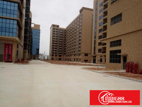 凤岗镇大型高新孵化园火热招租中)可分租）有高新补助