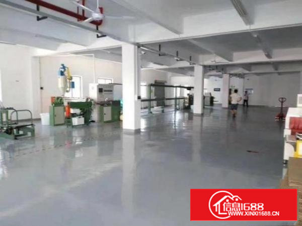 沙井新桥高速出口新出楼上1100平精装修厂房