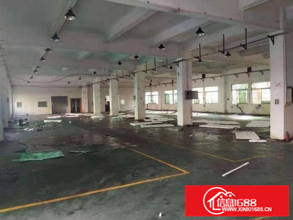 东坑镇村委标准厂房出租