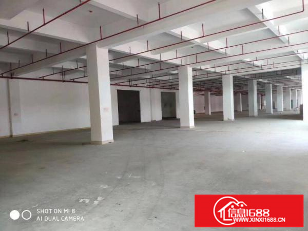 惠州市三和经济开发区矮岭村工业园40000平方标准厂房出租