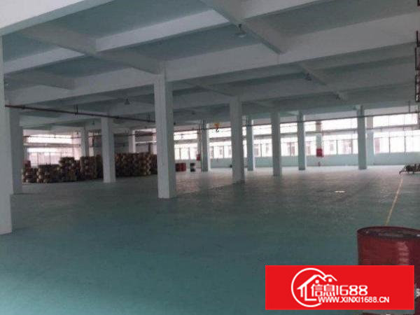 横沥水边标准厂房二楼1500平米厂房出租