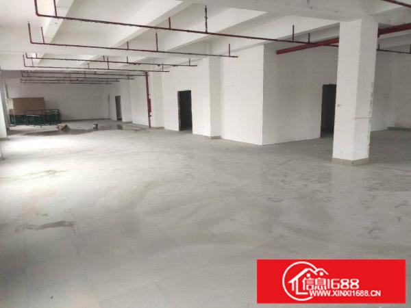 横岗厂房仓库办公底价出租300平方