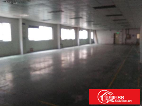 龙观大道工业区580平直租