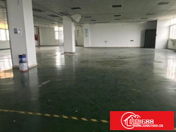 出租布吉丹竹头新出900标准一楼带牛角行车