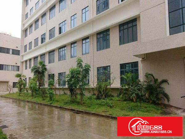 坂田全新厂房每层1600平米层高7.8米