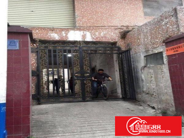 横岗茂兴路25号厂房实量150至300平米