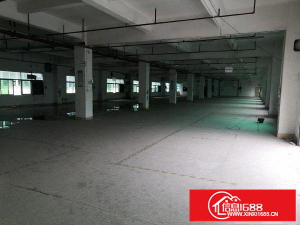 大朗镇洋坑塘村新出原房东独院分租一楼1500平方