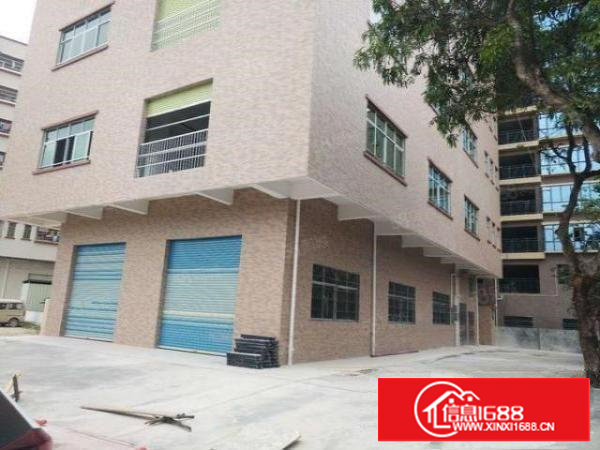 火~~塘厦林村（空地大）标准1楼厂房500平出租