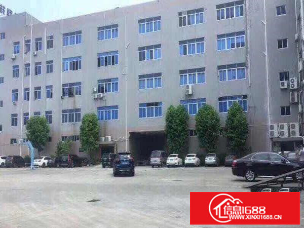 观澜桂花工业区（新出）一楼1100平方出租