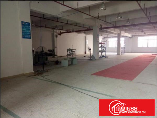 常平楼上930平方现成豪华办公室装修出租