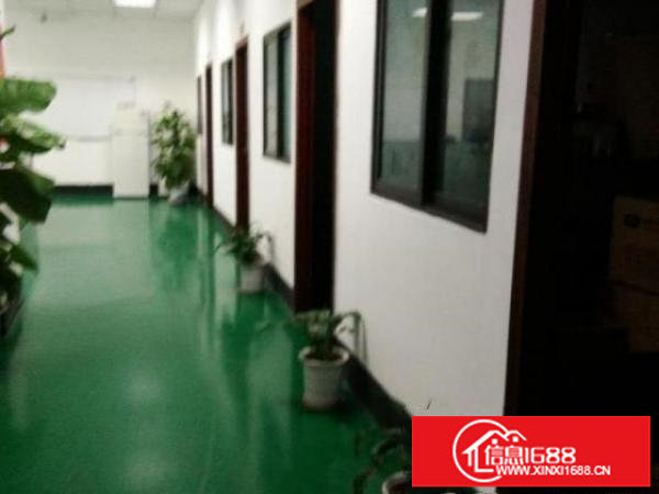 龙岗中心城新生新出楼上带装修950平厂房出租