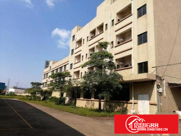 大朗镇单一层独院钢构厂房11000平方