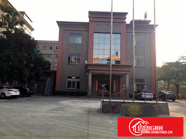 东莞市大朗镇村委厂房招租