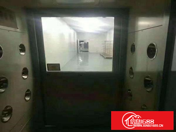 大岭山原房东精装修无尘车间厂房1375平米出租