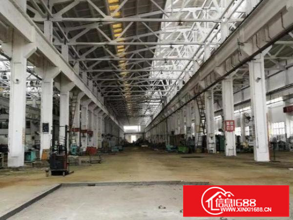 坪山大工业区滴水10米钢构工业厂房3000平招租（可分租）